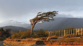 Tierra del Fuego Argentinien