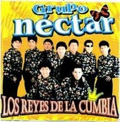 GRUPO NECTAR