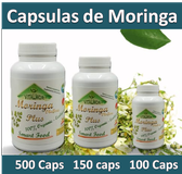 #que propiedades tienen las capsulas de moringa? #RESFRIADOS, comprar moringa, capsulas de moringa, polvo de moringa, #VIALES DE MORINGA, ampollas de moringa, comprar moringa, moringa, que es Moringa?, para que sirve la moringa?, Propiedades de la moringa