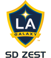 プロセレクション アメリカサッカーへの挑戦