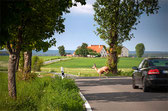 Quelle: www.motor-Talk.de