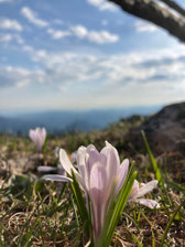 Yoga am Reinischkogel – Friedenskapelle am Reinischkogel