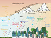 Le climat des landes est affecté par la forêt qui développe des nuages.