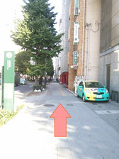 定禅寺通り沿い