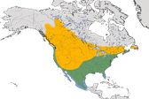 Karte zur Verbreitung des Braunkopf-Kuhstärlings (Molothrus ater)