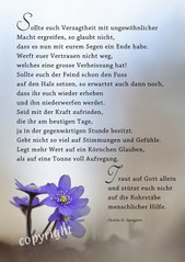 Leberblümchen, Christliche Kunstkarten
