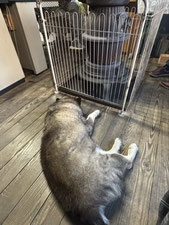 西条木材さん事務所