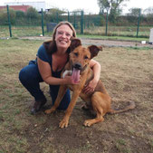 training adoptiehond, training asielhond, probleemgedrag hond