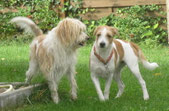 Karlies Familie