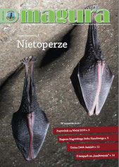 Zdjęcie na okładce: Podkowiec mały Rhinolophus hipposideros, fot. Wojciech J. Gubała