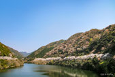 諭鶴羽ダム（山の別ページに移動）