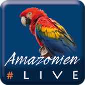 #AmazonienLive, Livereportage aus Pará/Brasilien