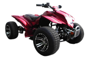 CLICK TO SEE RACING ATV ALARM SYSTEM