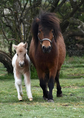 Sa mère, Heïdi du Naberon
