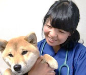 獣医師の鴨井佳奈です。