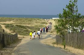 des promeneurs traversent les dunes pour rejoindre la mère