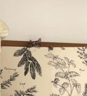 キジトラ猫ふわりさんの画像
