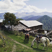 Pferde und Wanderreiten in Georgien