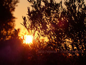 Sonnenuntergang von der Terrasse