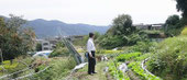 幡山農園