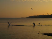 Start auf dem Starnberger See