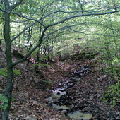 Wandern am Rothaarsteig, Siegerland