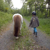 Ponytrekking, Wandern am Rothaarsteig