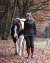 Pferd Freiarbeit Spaziergang Harmonie