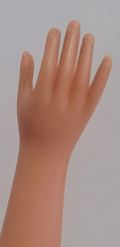 Hand detail of Florido Sindy.