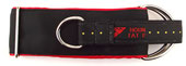 2 inch Martingale