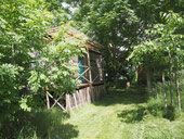 untertauchen in der Gartenwildnis