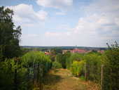 Panoramarundweg Bad Belzig