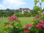 Unser Haus + Garten