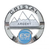 médaille ESI Cristal d'argent - ESF 2ème étoile