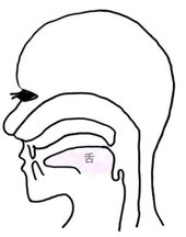 リラックス状態の口の図