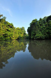 Parque Nacional Tortuguero