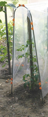 ©Nortene, Tomato Tuteur, le tuteur en acier pour la réalisation d'un tunnel haut pour les tomates.