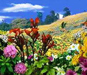 Jardin del mundo Teletubis