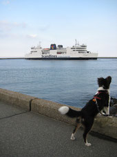 Wer hat die schönsten Urlaubsorte für Hunde? Schreibt uns, wir geben gern die Links weiter hier!