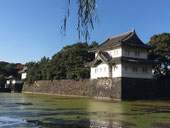 2016/11