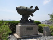 2017/05 PHOTO