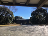 2017/01