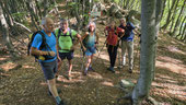 Salendo all'Alpe Drisioni