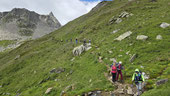Scendendo verso il Simplonpass