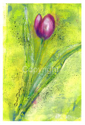 violette Tulpe in grün 