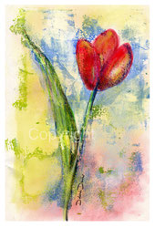 rote Tulpe, Gellipainting Druck