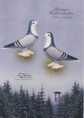 Bild vom 07.12.2007