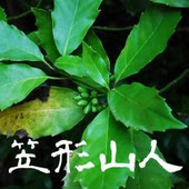 笠形山人ワールドへようこそ！