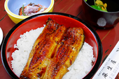 Grilled eel on rice