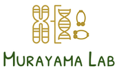 染色体生化学研究室（国立遺伝学研究所）
